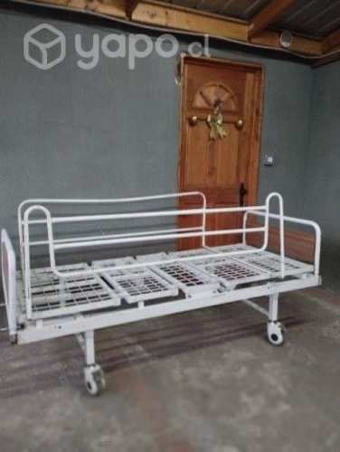 Cama Ortopedica
