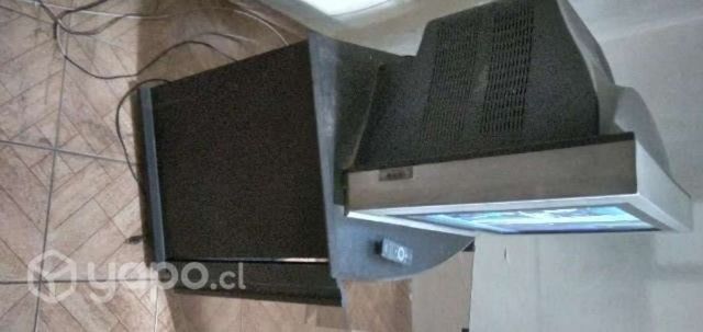 Televisor 29&#39;con mesa , más DVD