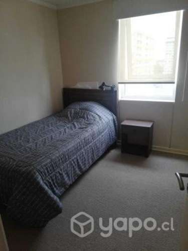 Cama 1.5 plazas flex