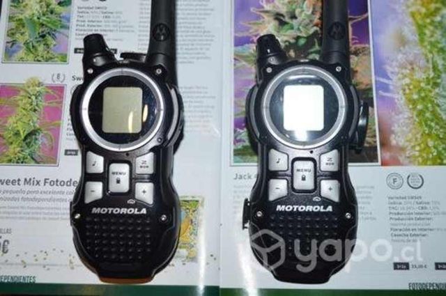 Par De Radio Walkie Talkies Motorola Talkabout 56