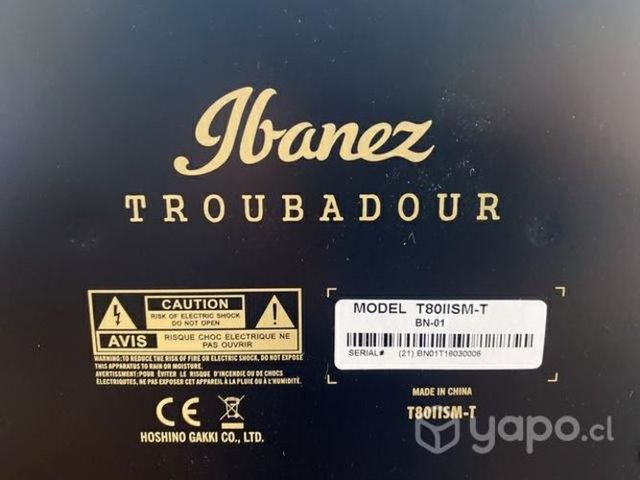 Amplificador Ibanez Troubadour