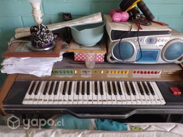 Organeta profesional HoHNER 49 de luxe