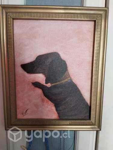 Cuadro perrito salchicha