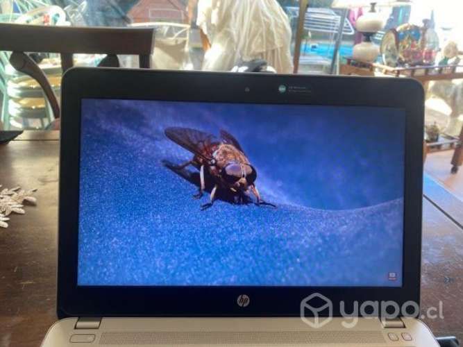 Notebook HP i5 (7Generación)