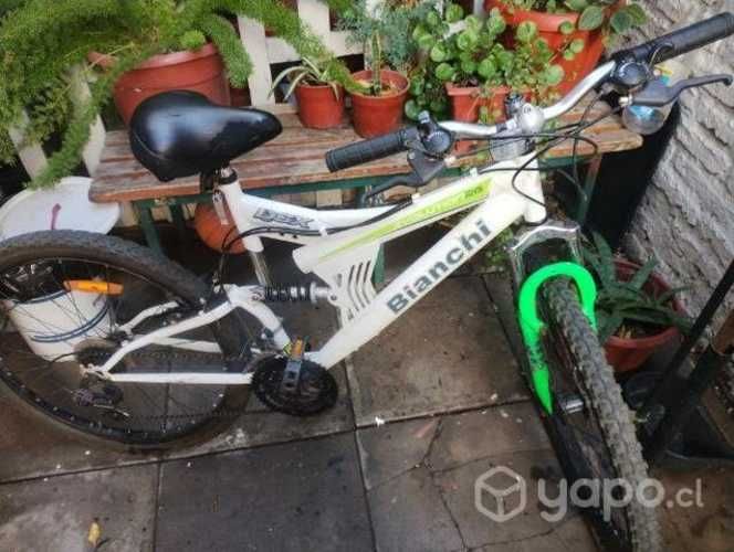 Bianchi evolution 26