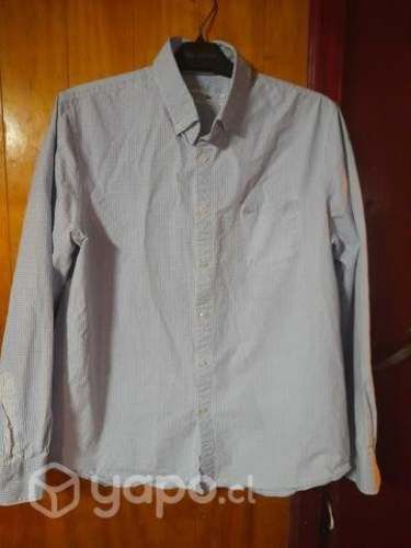 Camisa Lacoste original