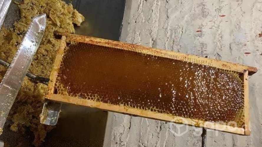 Miel Pura de abejas