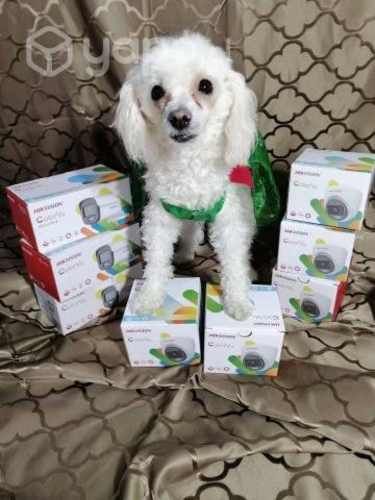 Camara hikvision colorvu domo