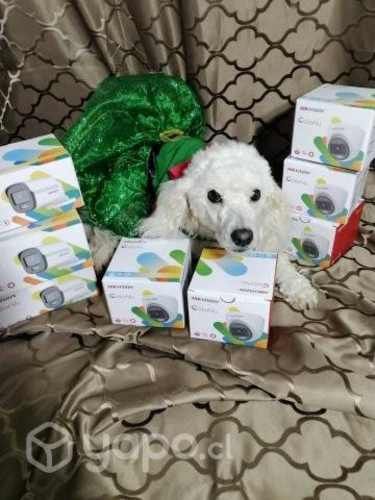 Camara hikvision colorvu domo