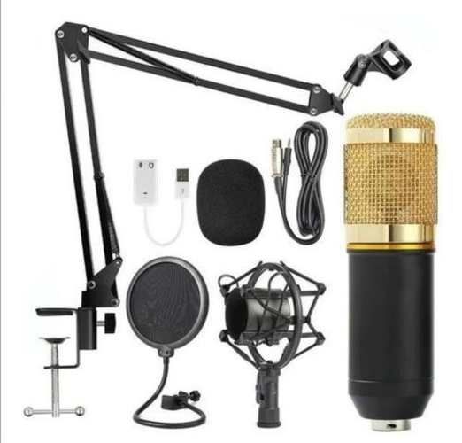 Micrófono profesional