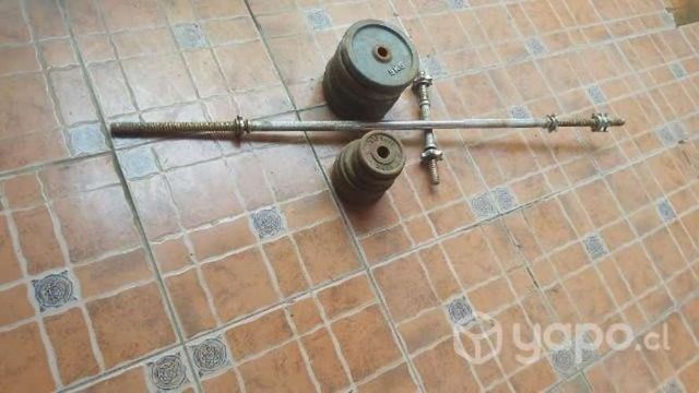 Discos de pesas y 2 barras de ejercicios