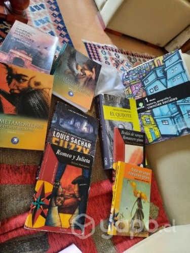 Libros de lectura y texto de historia 1 medio savi