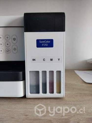 Impresora Epson 170