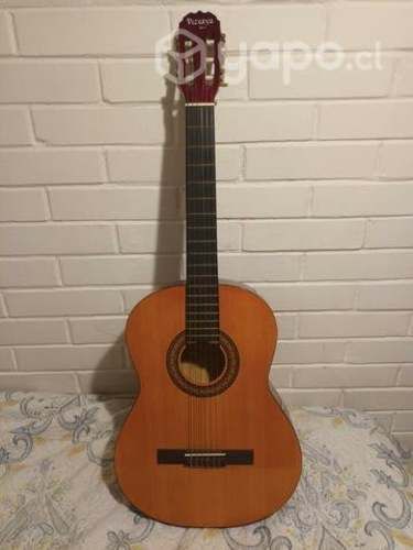 Guitarra acustica viscaya