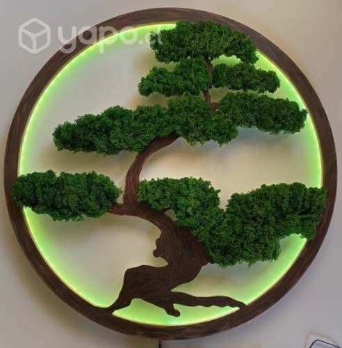 Cuadro Bonsai Musgo Natural con iluminación led