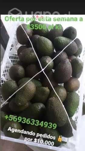 Palta hass