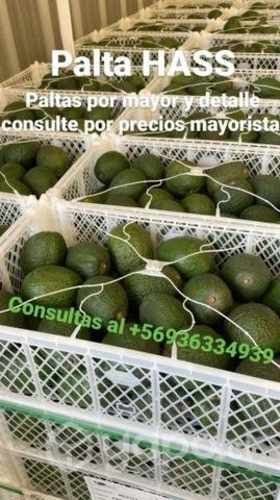Palta hass