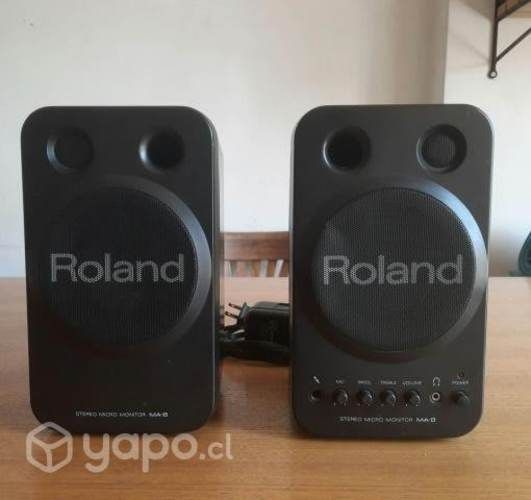 Micro Monitor Roland MA.8