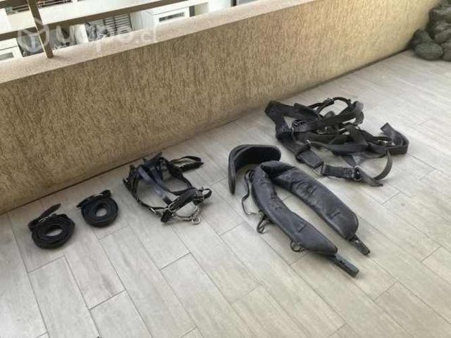 Arnés para caballo