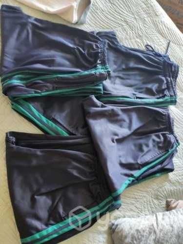 Buzo colegio antilhue