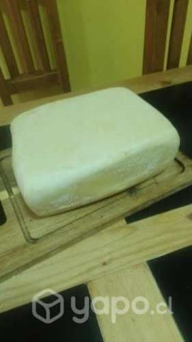 Queso de cabra para Antofagasta y Calama