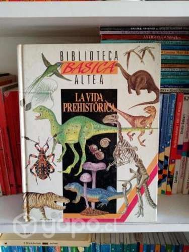 La vida prehistórica biblioteca básica altea