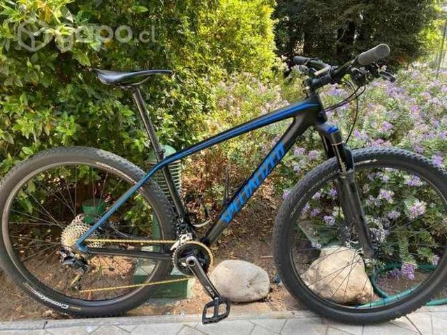 Epic Comp Carbon 29 Specialized