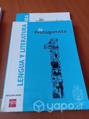 Libros 1ro medio SM