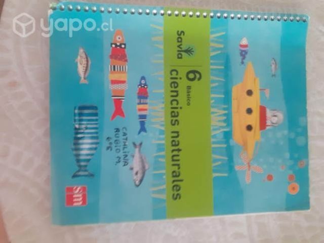 Libro santillana 6 ciencias narurales