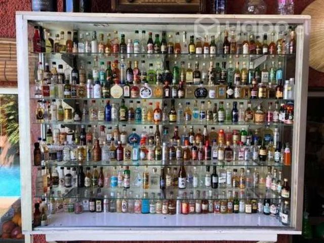 mi colección de Mini Botellas