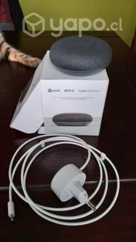 Mini home google grafito