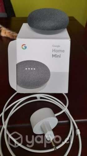 Mini home google grafito