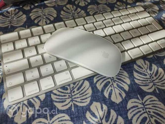 Magic Mouse