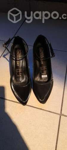 Zapatos elegantes dama