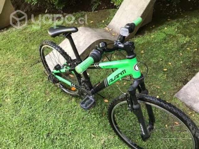 BICICLETA: Avanti Shadow