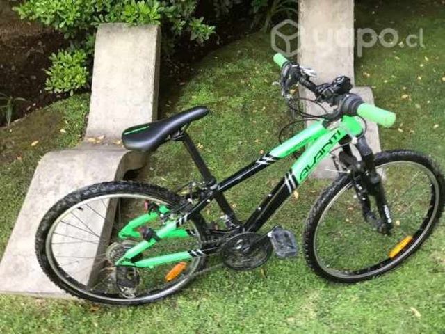 BICICLETA: Avanti Shadow