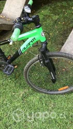 BICICLETA: Avanti Shadow