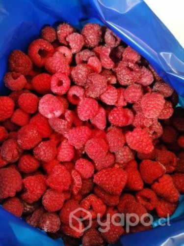 Frambuesa IQF Congelada
