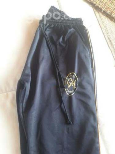 Buzo gabriela mistral