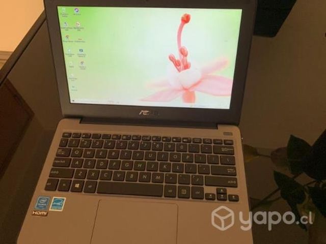 Computador Lapto Asus ,