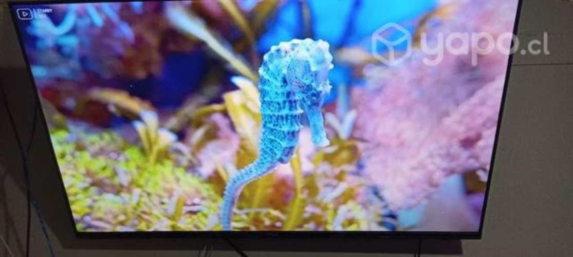Smart TV 50 pulgadas