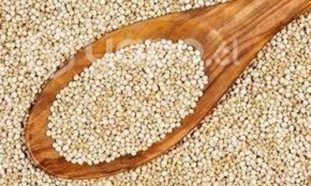 Quinoa