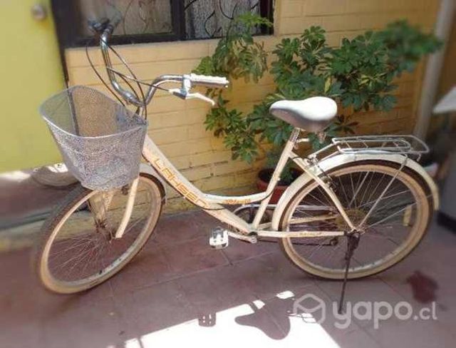 Bicicleta de paseo