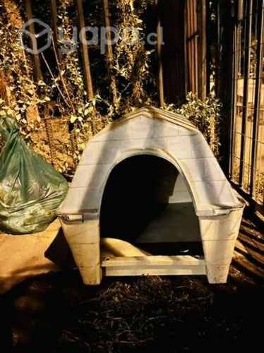 Casa de perro