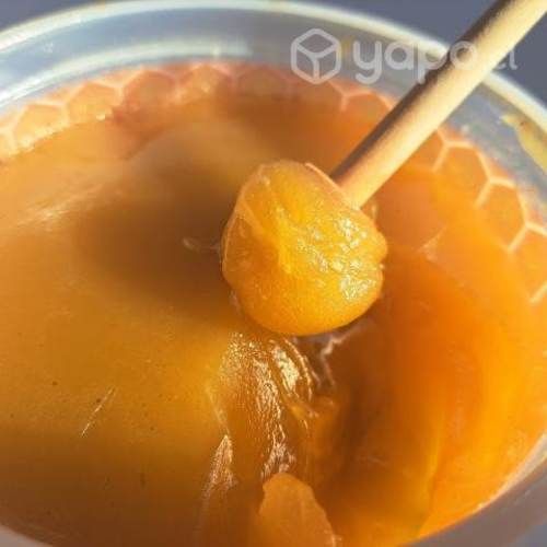 Miel Multiflora de alta pureza