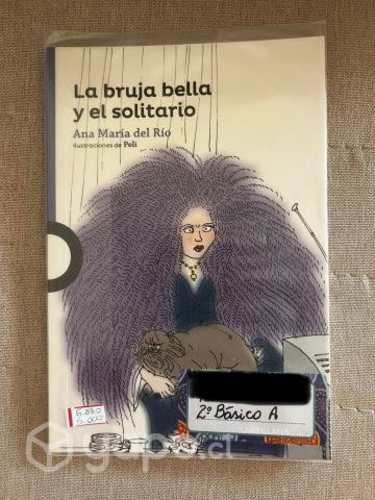 Libro La bruja bella y el solitario
