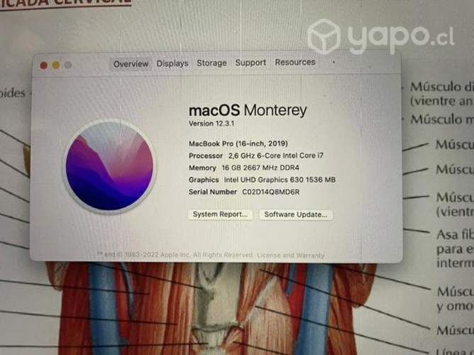 Macbook Pro 16-inch, 2019 (excelente precio)