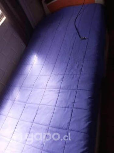 Cama clínica medical master