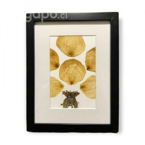 Cuadro Pétalos (Flores Prensadas)