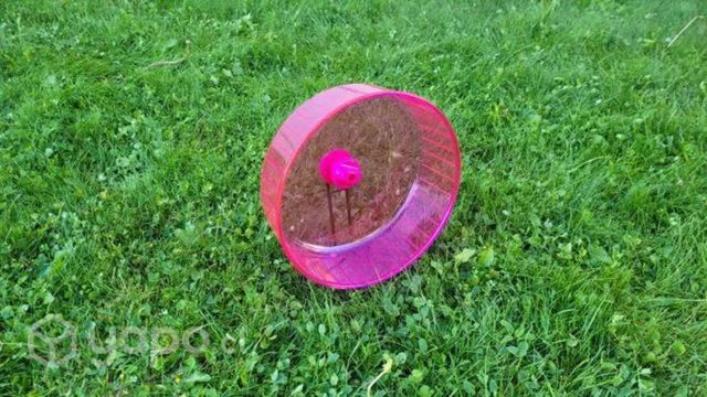 Rueda Hamster
